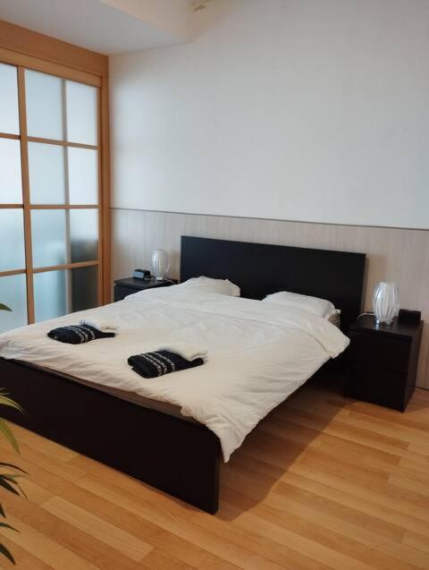 Loft Avec Et Billard Appartement Brest