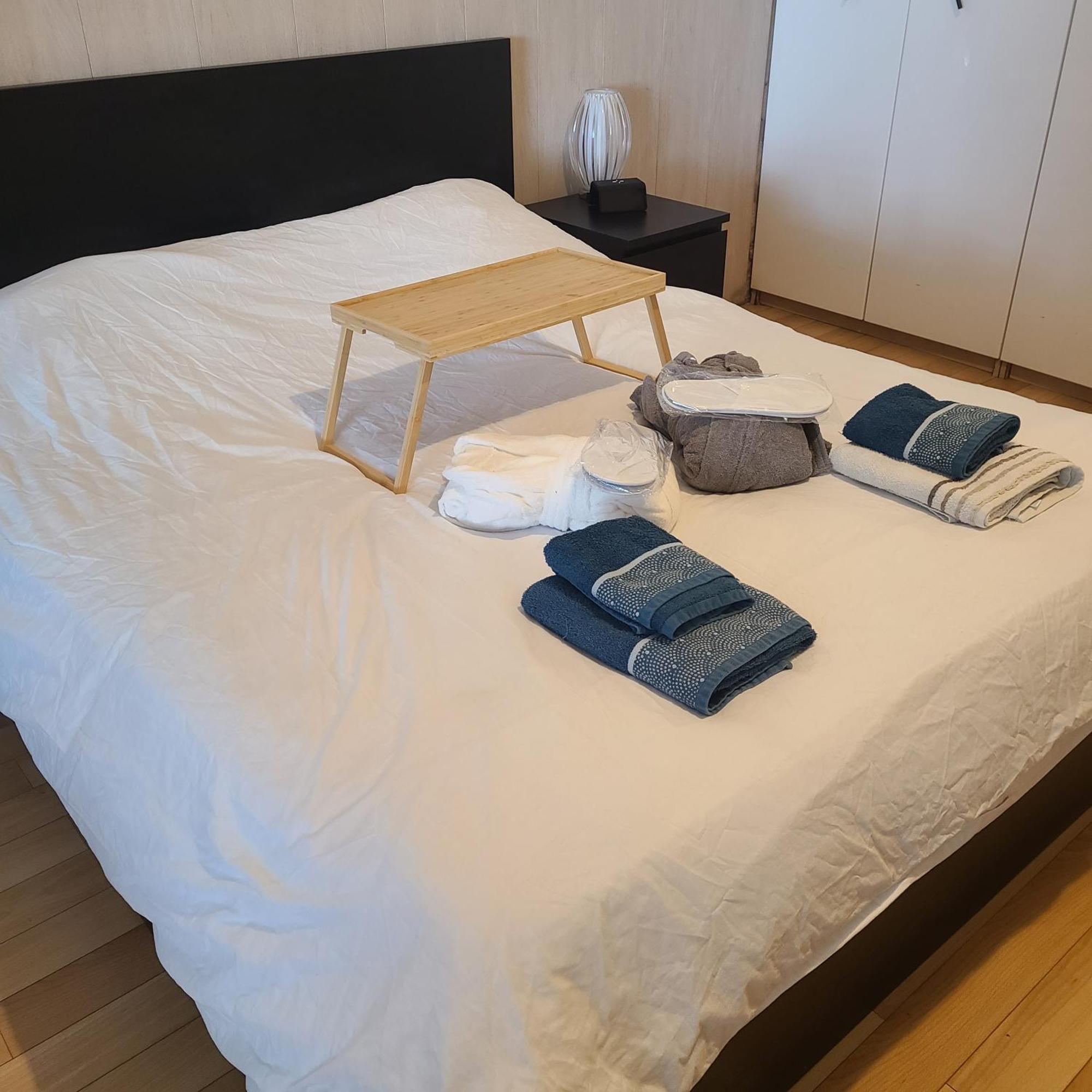 Loft Avec Et Billard Appartement Brest